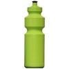 Budget Bottles Tri Lime